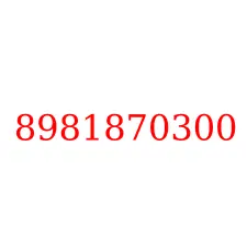 8981870300