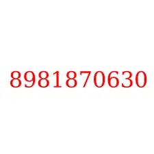 8981870630