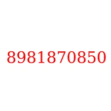 8981870850