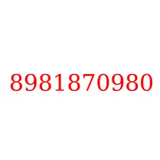 8981870980