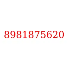 8981875620