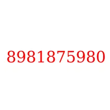 8981875980