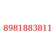 8981883811