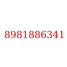 8981886341