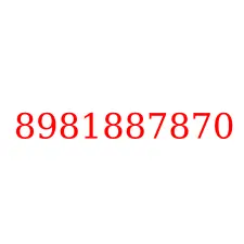 8981887870