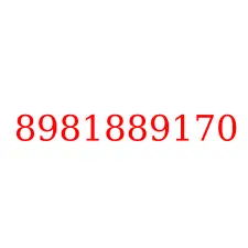8981889170