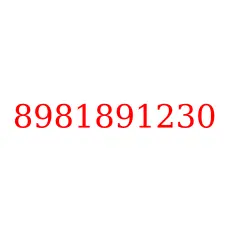8981891230