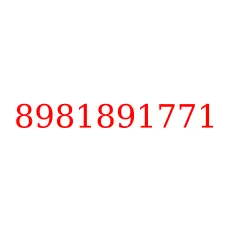 8981891771