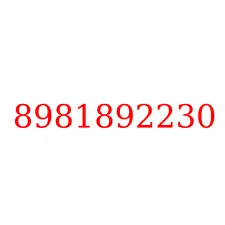 8981892230
