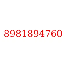 8981894760