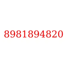 8981894820