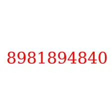 8981894840