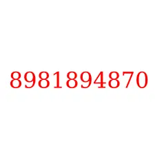8981894870