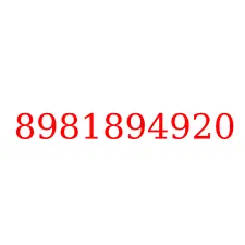 8981894920