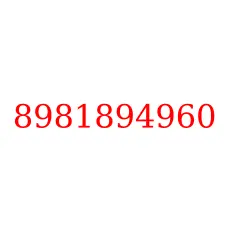 8981894960