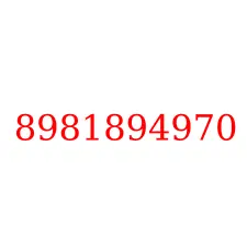 8981894970