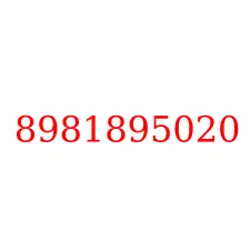 8981895020