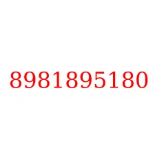 8981895180