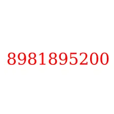 8981895200