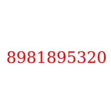 8981895320