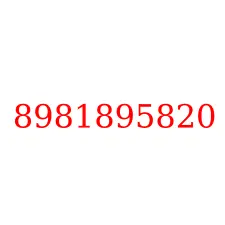 8981895820