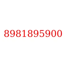 8981895900