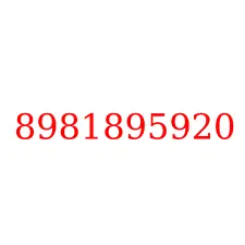 8981895920