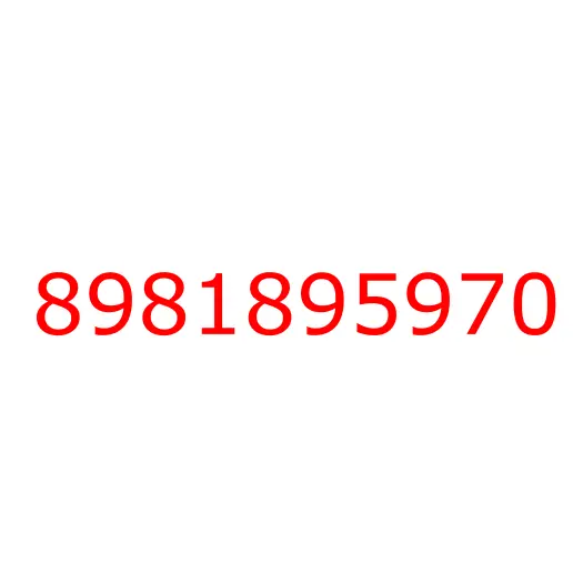 8981895970 RING; SNAP,CLU,A/T, 8981895970