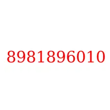 8981896010