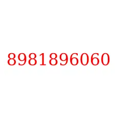 8981896060