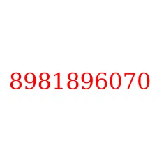 8981896070