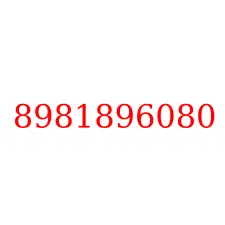 8981896080