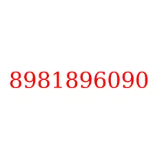 8981896090