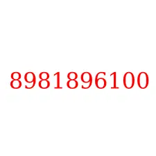 8981896100