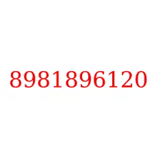 8981896120