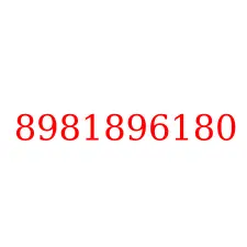 8981896180