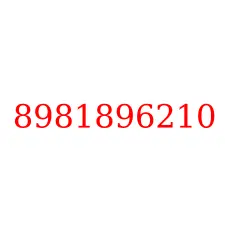 8981896210