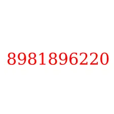 8981896220