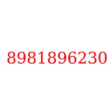 8981896230
