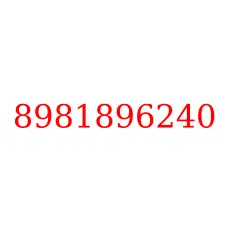 8981896240