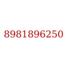 8981896250