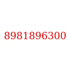 8981896300