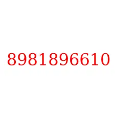 8981896610