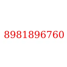 8981896760