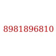 8981896810