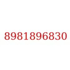 8981896830