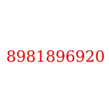 8981896920