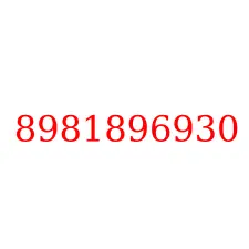 8981896930