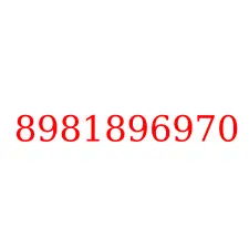 8981896970