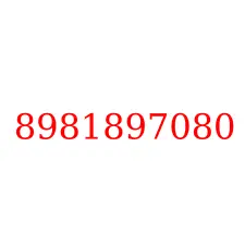 8981897080